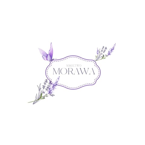 STOWARZYSZENIE SYMPATYKÓW WSI MORAWA - Organization logo