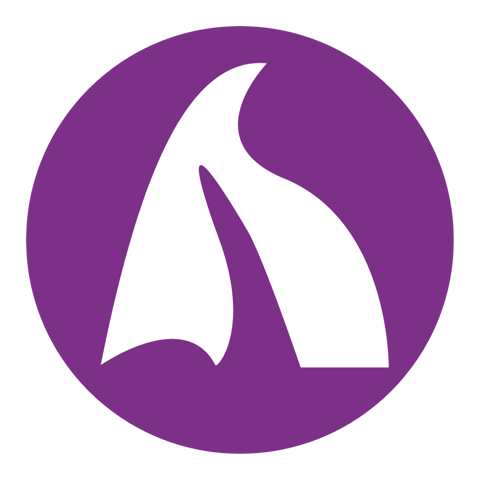 Fundacja Nienaganna - logo organizacji