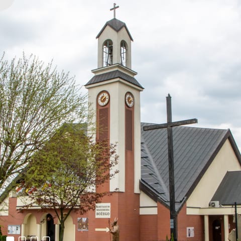 Parafia Miłosierdzia Bożego w&nbsp;Ostrowie Wlkp. - logo organizacji