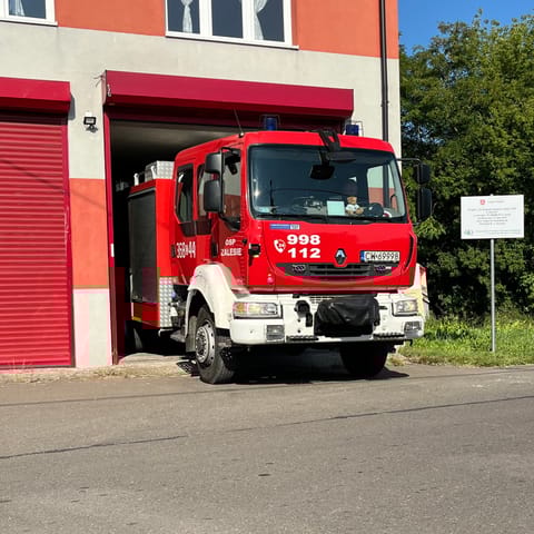 Ochotnicza Straż Pożarna w&nbsp;Zalesiu - logo organizacji