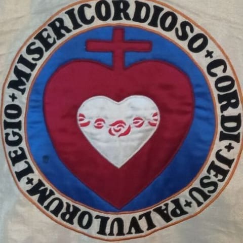 Stowarzyszenie Legion Małych Dusz - Organization logo