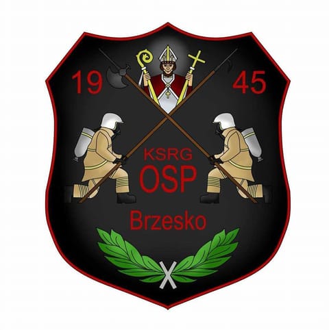 Ochotnicza Straż Pożarna w Brzesku - Organization logo