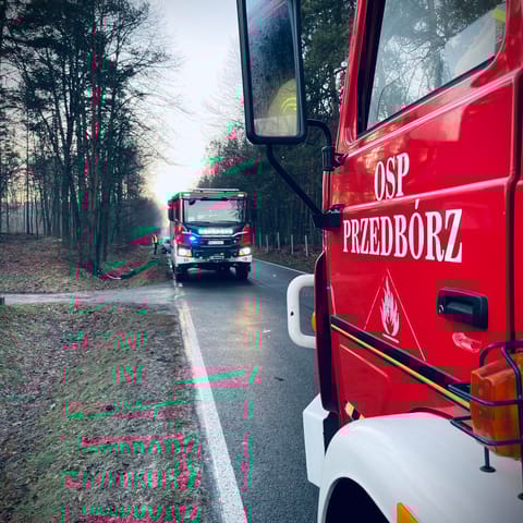 OCHOTNICZA STRAŻ POŻARNA W&nbsp;PRZEDBORZU - logo organizacji