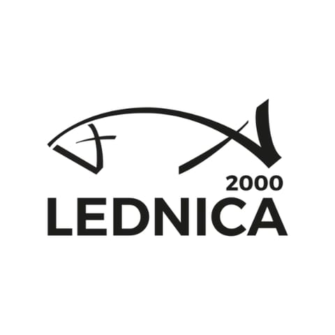 Dominikańska Fundacja Lednica 2000&nbsp;- logo organizacji