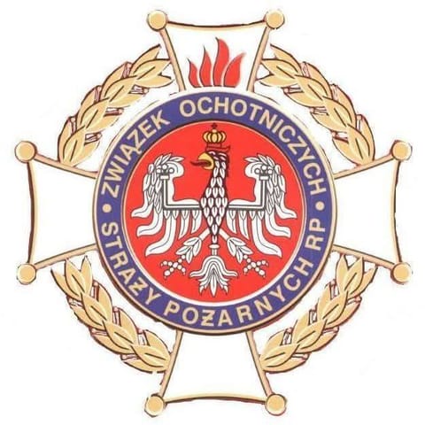 OCHOTNICZA STRAŻ POŻARNA W&nbsp;DZWONOWEJ - logo organizacji