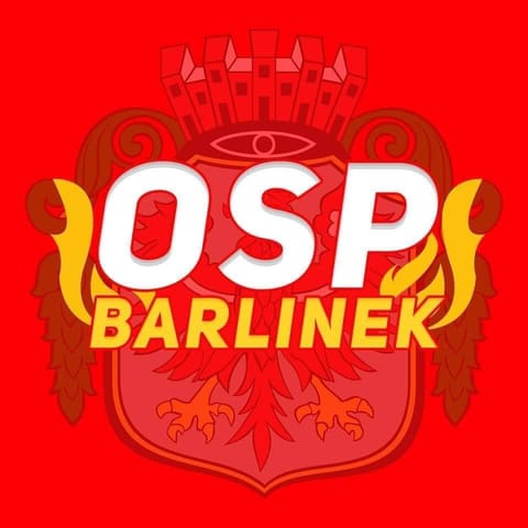 Ochotnicza Straż Pożarna w Barlinku - Organization logo