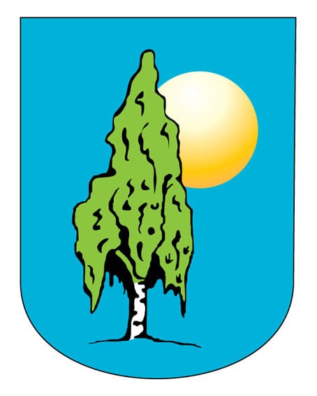 Stowarzyszenie Rozwoju Wsi Kocury i&nbsp;Malichów,,Brzozowa Dolina'' - logo organizacji