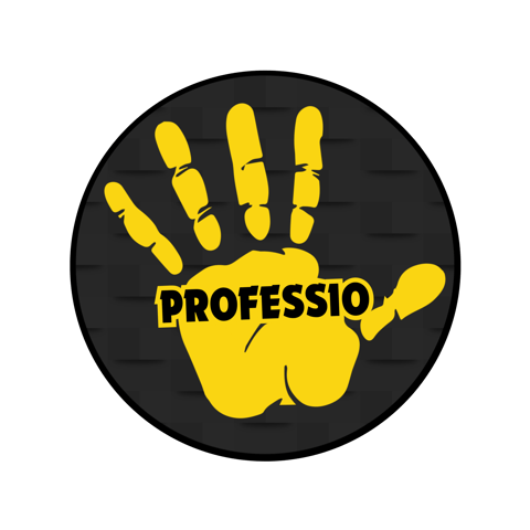 Fundacja Professio - Organization logo