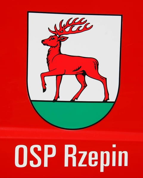Ochotnicza Straż Pożarna w&nbsp;Rzepinie - logo organizacji