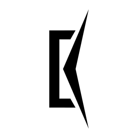 Stowarzyszenie Kulturex - Organization logo
