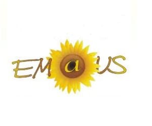 Stowarzyszenie Integracji oraz Aktywizacji Zawodowej i&nbsp;Społecznej Osób Niepełnosprawnych EMAUS - logo organizacji