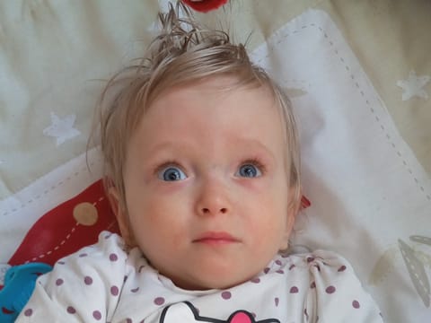 Róża Borula - main photo