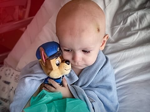 Mikołaj Szkolak - zdjęcie główne