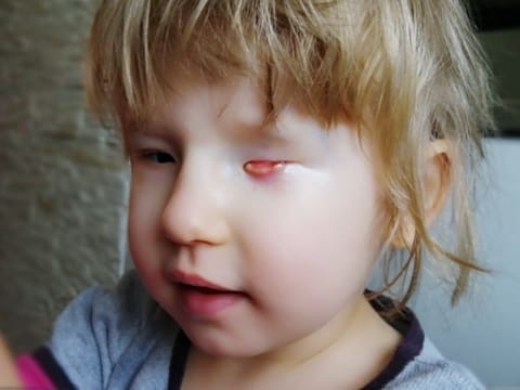 Lena Franciszkiewicz - zdjęcie główne