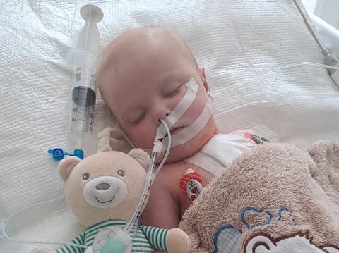 Franuś Musik - zdjęcie główne