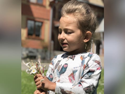 Pola Radka - zdjęcie główne