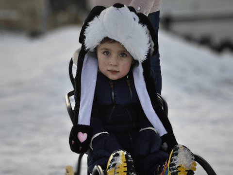 Korneliusz Wilkos - zdjęcie główne