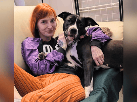 Oliwia Jankowska - zdjęcie główne