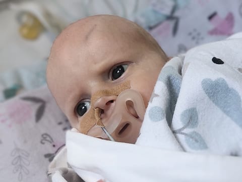 Zosia Tańska - main photo