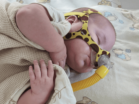 Janek Budnicki - zdjęcie główne