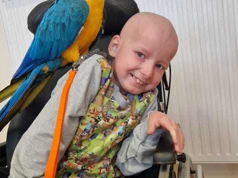 Stanisław Kaczmarek - main photo