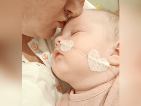 Celinka Koral - main photo