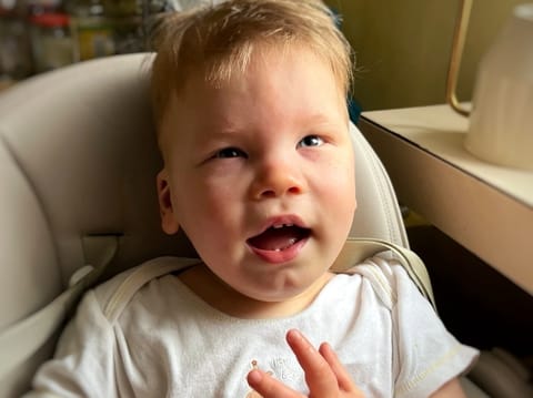 Dragomiś Łapiński - main photo