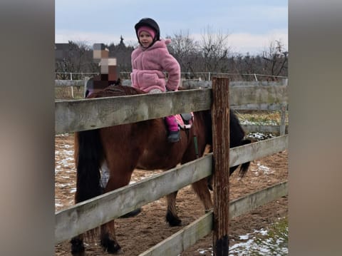 Aleksandra Chrabałowska - zdjęcie główne