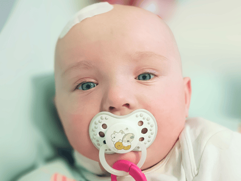 Róża Weryńska - zdjęcie główne