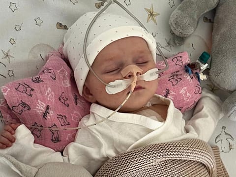 Rozalia Suchecka - main photo