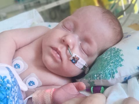 Gracja Szczubełek - zdjęcie główne