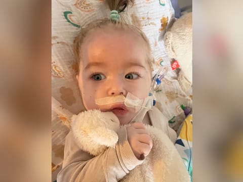 Pola Żukowska - zdjęcie główne