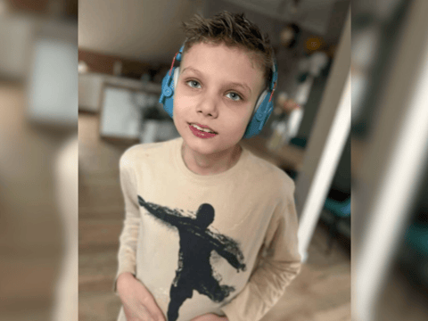 Michałek Płowy - zdjęcie główne