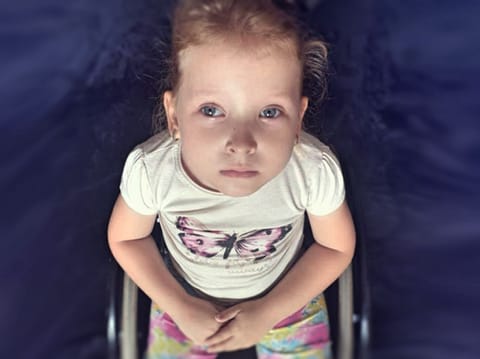 Lilka Sówka - main photo