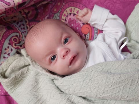 Teo Zep - zdjęcie główne