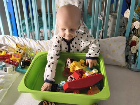 Miłosz i&nbsp;Lidia Skorek - zdjęcie główne