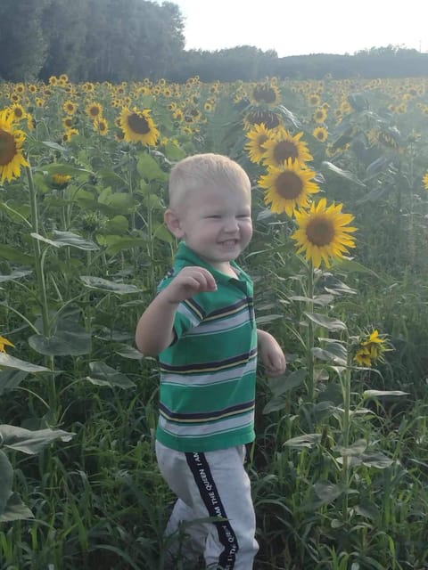 Antoni Lewandowski - zdjęcie główne