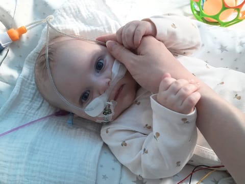 Gabrysia Donizy - zdjęcie główne