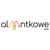 ALAANTKOWEBLW S.C.