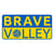 BraveVolley