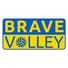 BraveVolley
