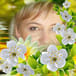 Organizer's avatar