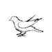 Organizer's avatar