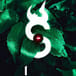 Organizer's avatar