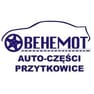 Behemot s.c.