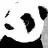 Panda_Osielsko