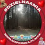 Katarzyna Stasiukiewicz