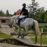 Patrycja