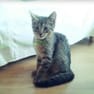 NUXXO