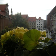 Elżbieta Wykrzykowska
